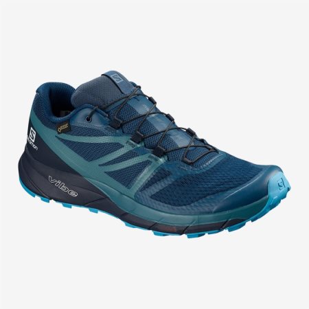 Salomon SENSE RIDE 2 GTX INVISIBLE FIT Mens Trail Running Shoes Blue | Salomon South Africa